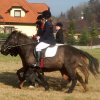 Zawody w Raciechowicach SJK Hucuł 2006